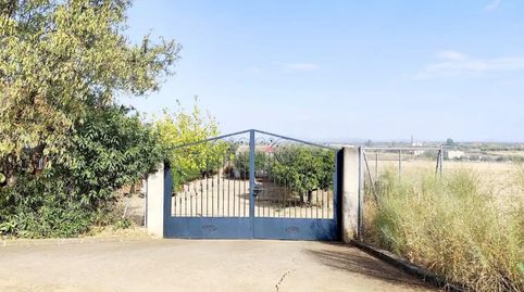 Photo 4 of Flat for sale in Lugar Diseminado, 71, Don Benito, Badajoz