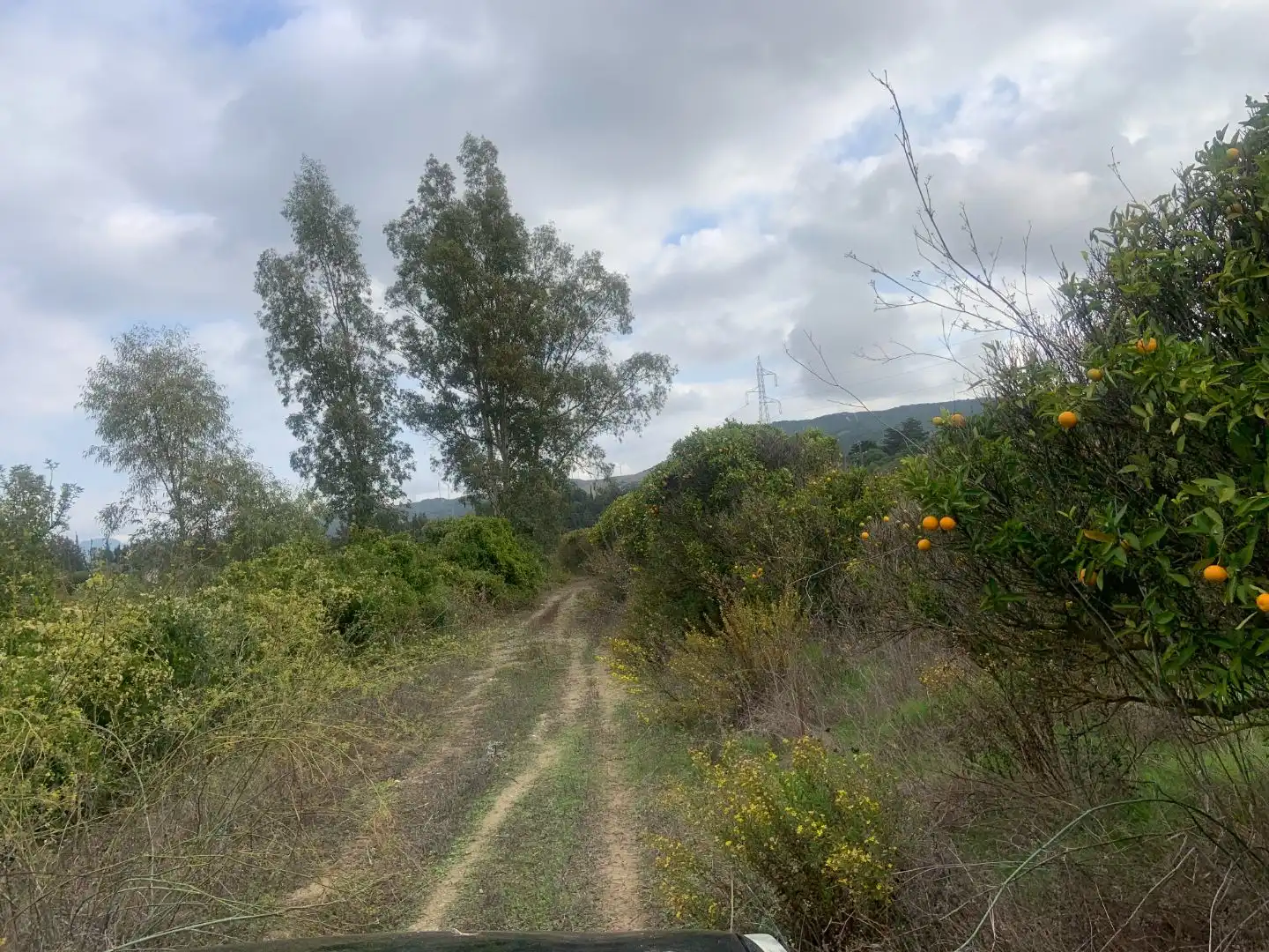 Terreno en venta en Casares