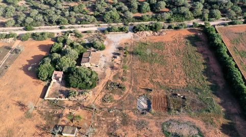 Foto 4 de Finca rústica en venta en Ds Sector 5 14 Polígono 32 Parcela 14, Cala Pi - Vallgornera, Llucmajor