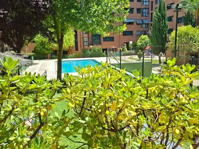 Piscina de Pis en venda en  Madrid Capital amb Aire condicionat i Piscina