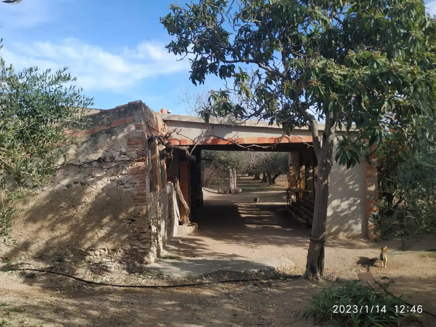 Terrenys i solars en venda a de Cambrils - Riudoms, imagen 8