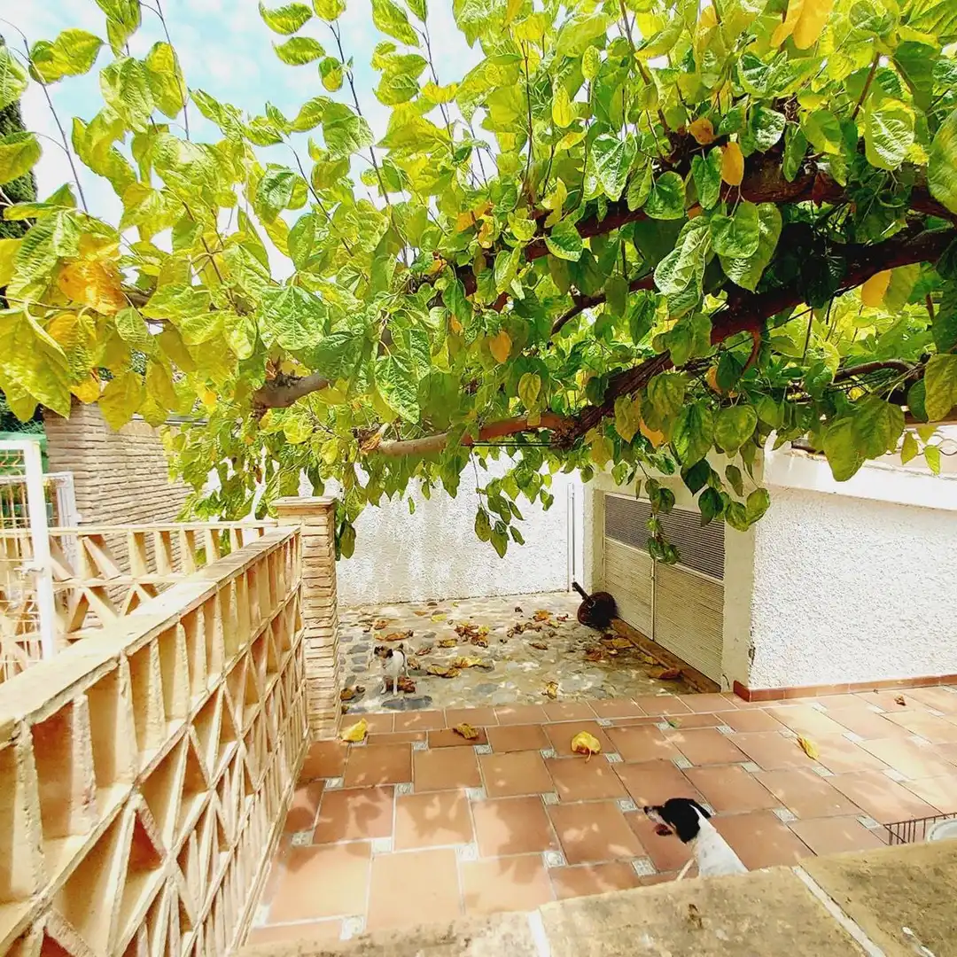 Jardí de Casa o xalet en venda en Orihuela amb Terrassa, Traster i Piscina