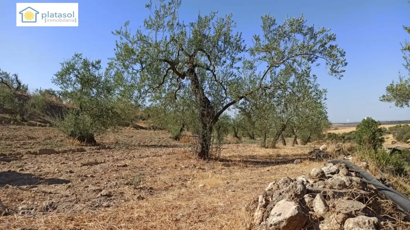 Terreni e lotti in vendita a de la Piedra Caballera, imagen 12