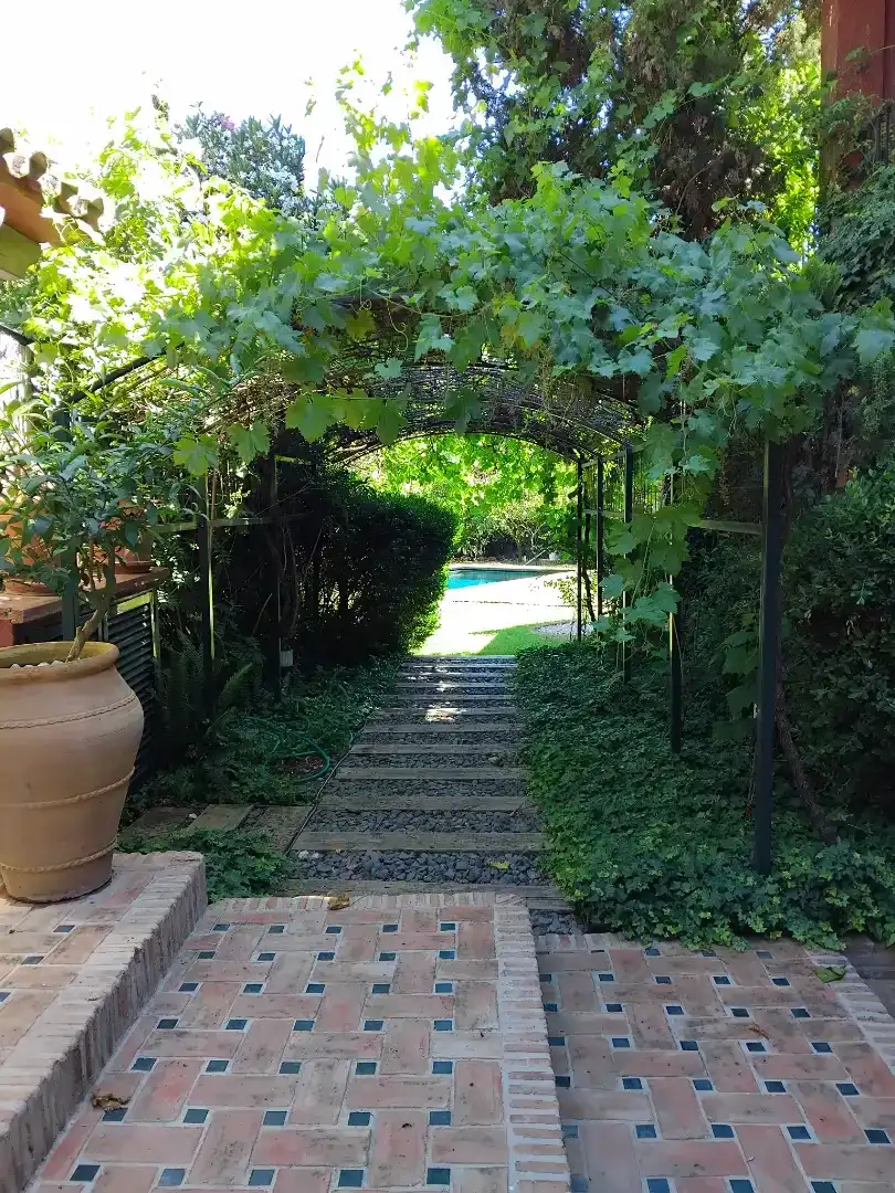 Garden of Houses for rent in Nueva Andalucía