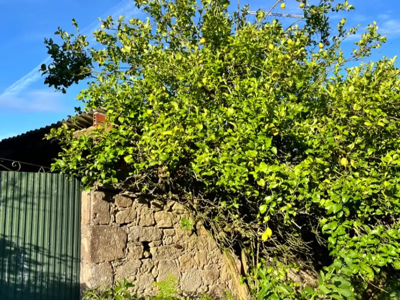 Casa amb jardí en venda a Saians 1, imagen 13