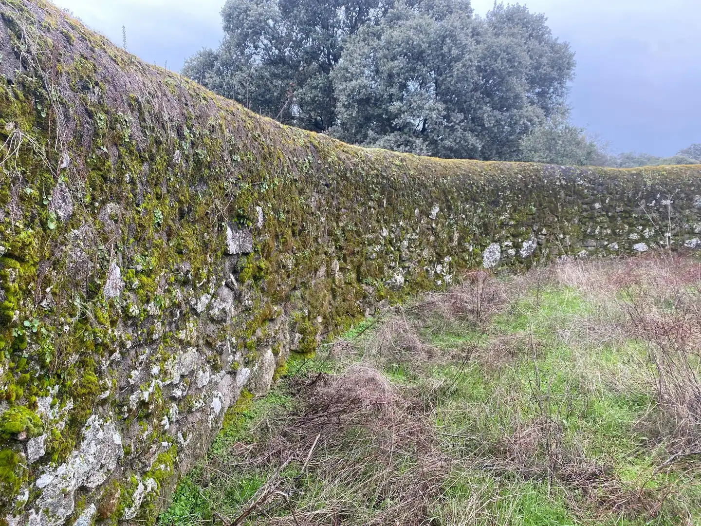 Terreni e lotti in vendita a Navamorcuende, imagen 9
