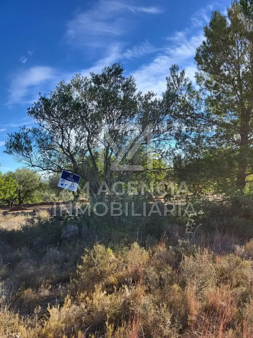 Casa rústica en venta en Traiguera, imagen 4