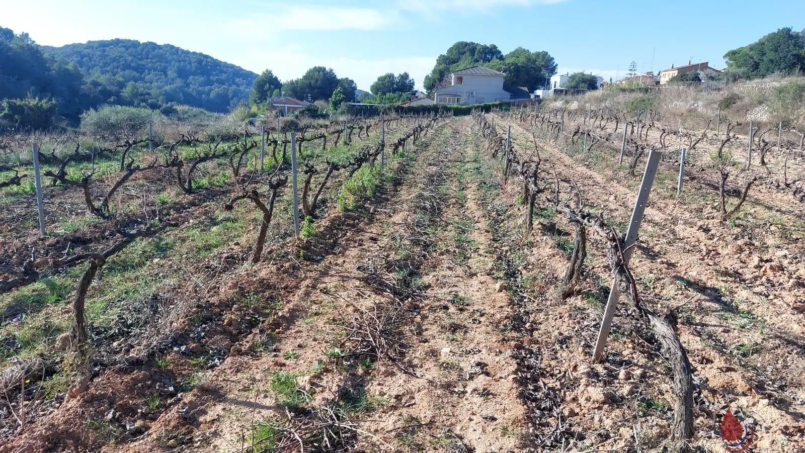 Terrenys i solars en venda a av mar, imagen 5
