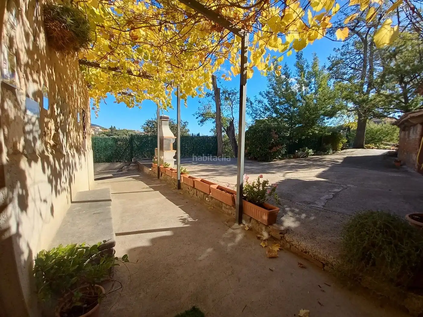 Maison avec jardin à vendre à Carrer Mestre Millet 18, imagen 6