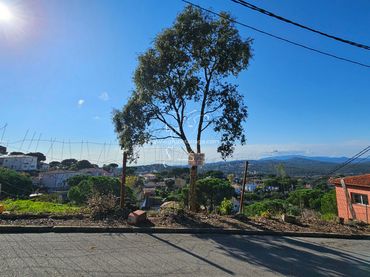 Terreny residencial en venda a Carrer Pollancre 94