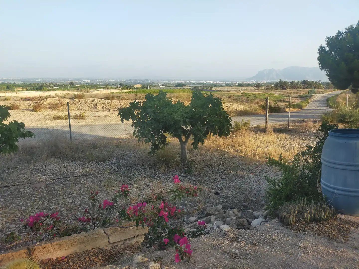 Casa o chalet en venta en Albatera con Amueblado