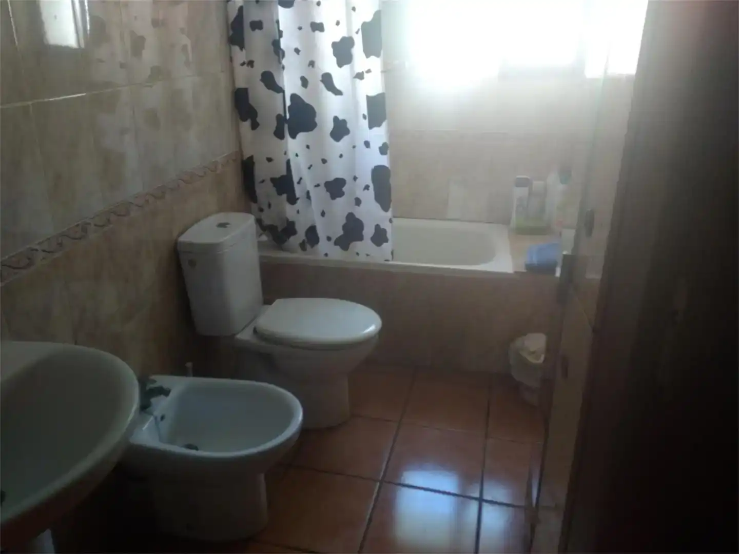 Baño de Casa adosada en venta en Alpera con Jardín privado