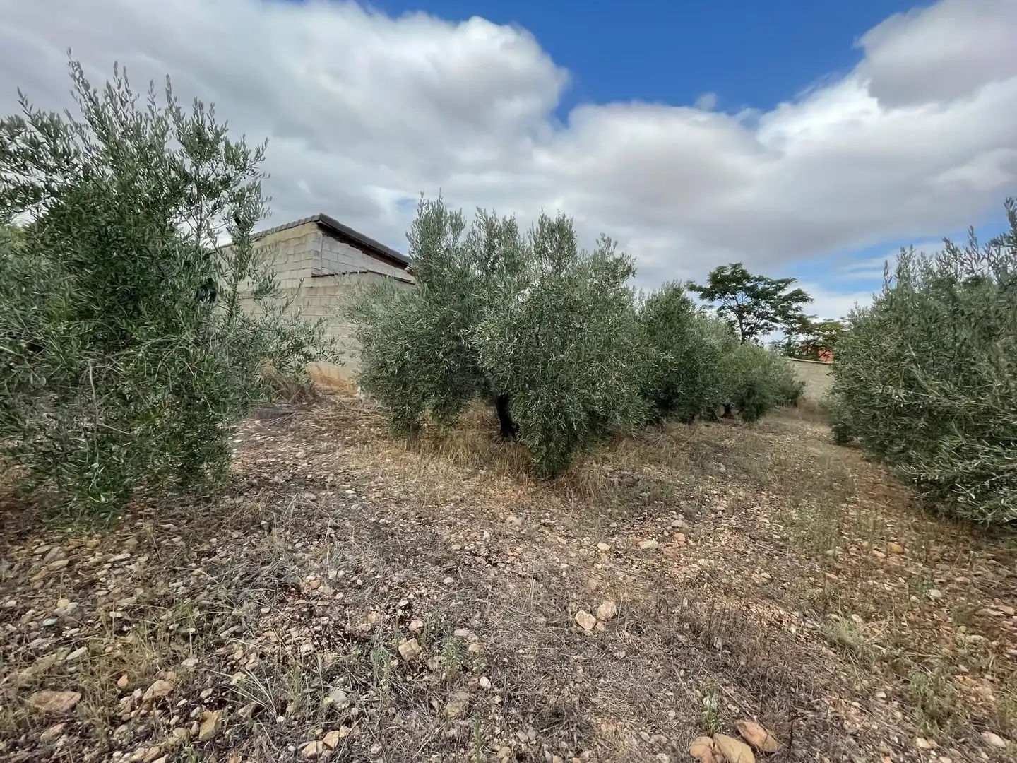 Terreni e lotti in vendita a santa catalina, imagen 6