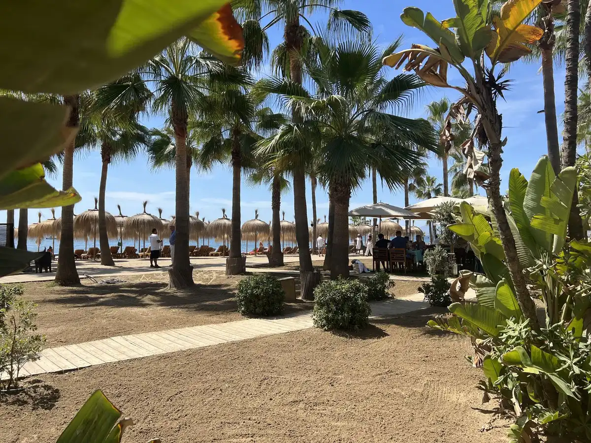 Pis amb ascensor en venda a Río Real - Los Monteros, imagen 50