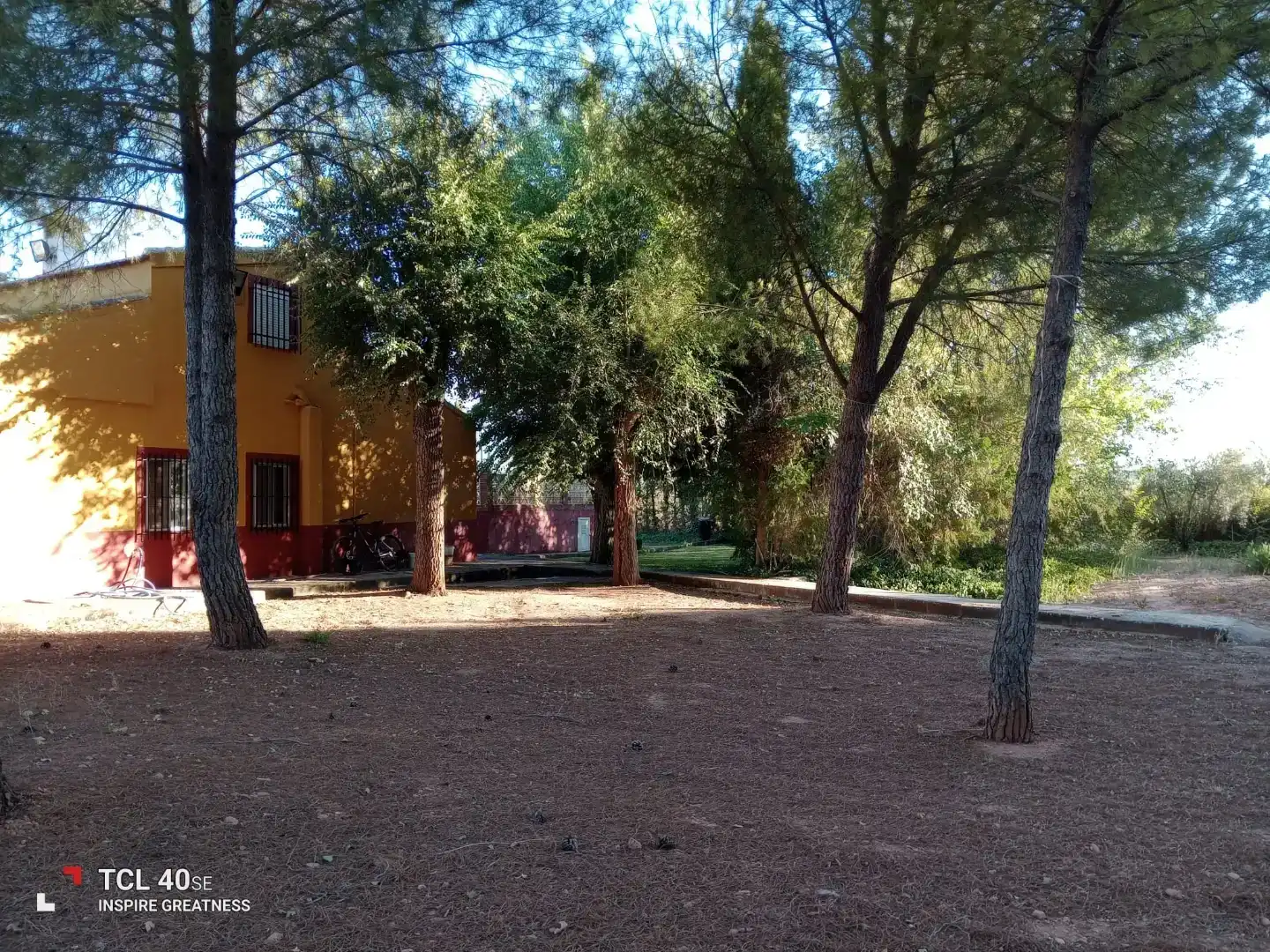 Jardí de Casa o xalet en venda en Membrilla amb Aire condicionat, Jardí privat i Parquet