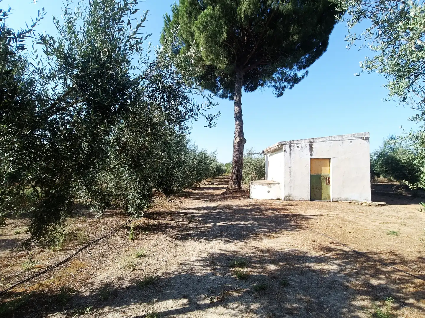 Terreni e lotti in vendita a Villanueva del Ariscal, imagen 3