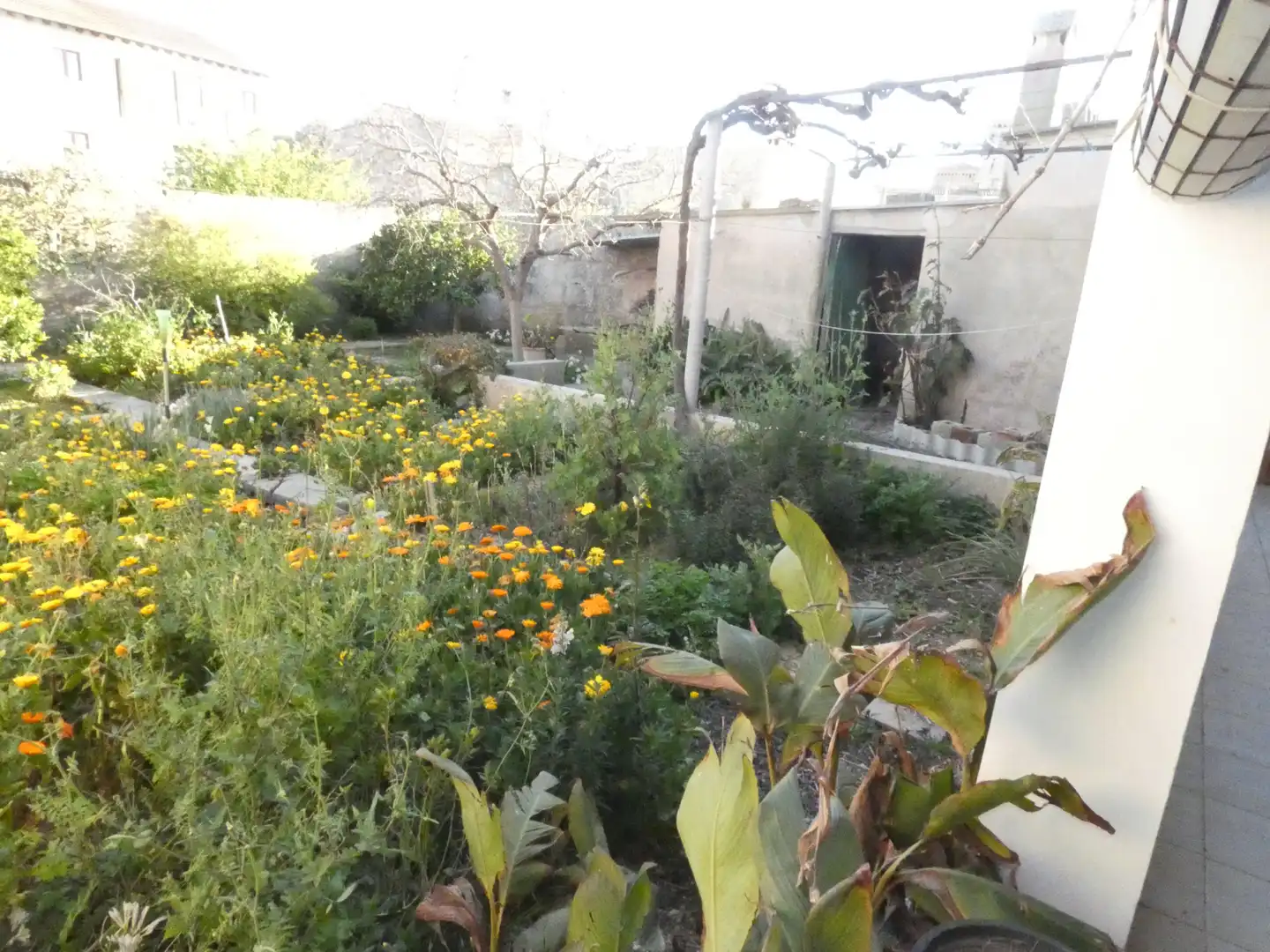 House with garden for sale in Ariany, imagen 15