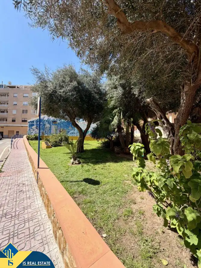 Apartament amb ascensor en venda a La Mata, imagen 19
