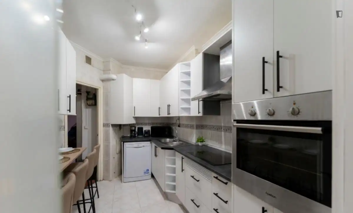 Kitchen of Apartments for share in Madrid  with Furnished, Oven and Washing machine