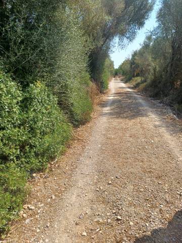 Terreno residencial en Venta en Felanitx Poble