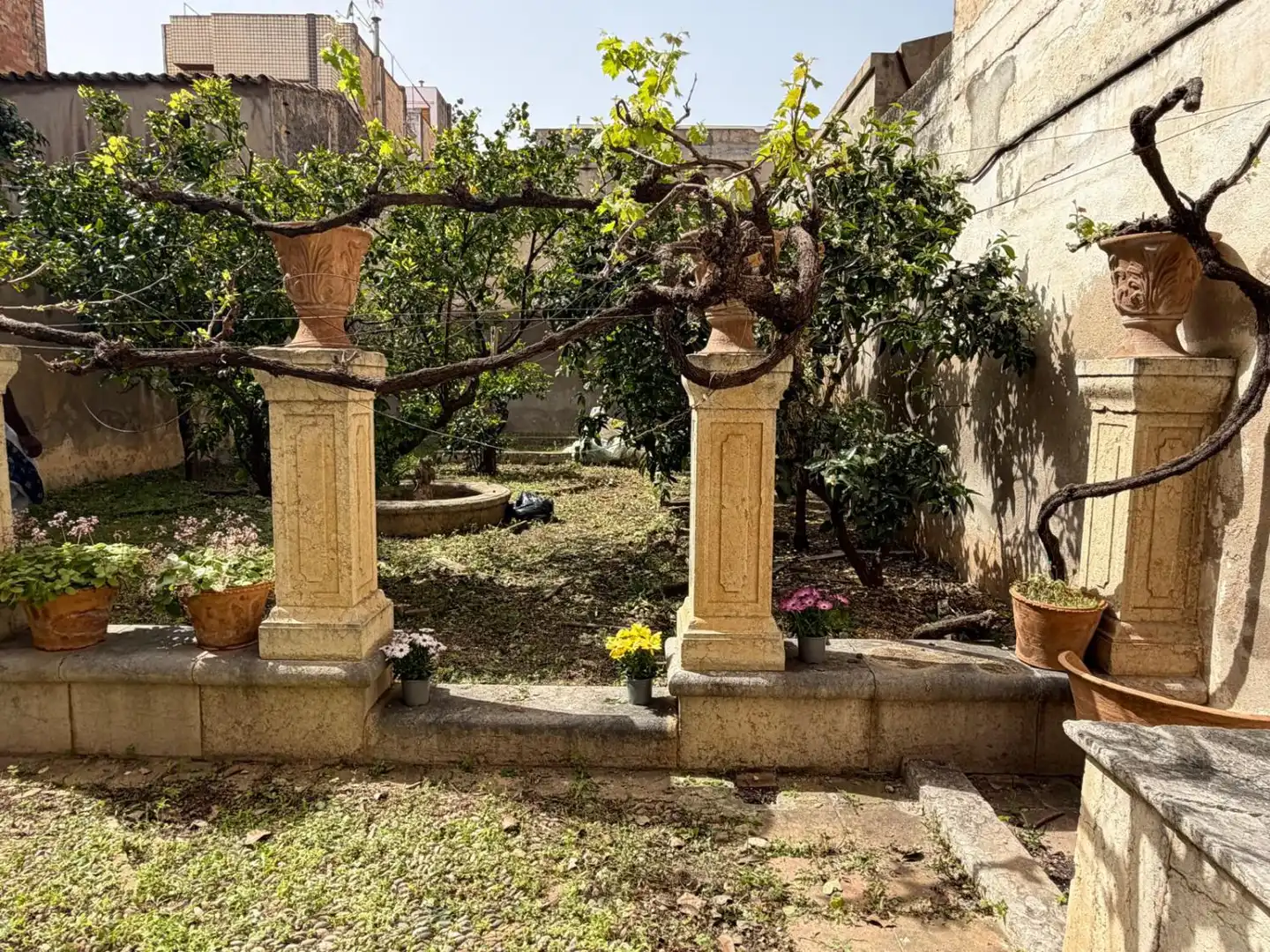Jardí de Casa o xalet en venda en La Ràpita amb Aire condicionat i Traster
