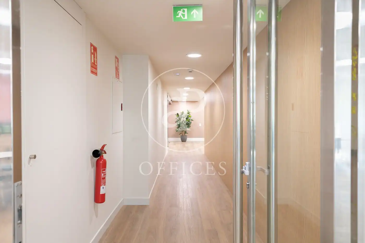 Office space to rent in Carrer d'Àvila, imagen 42