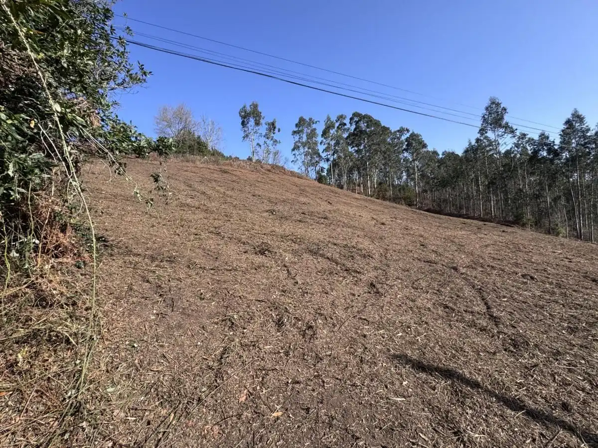 Grundstücke und Bauplätze zum Verkauf in Vibaña - Ardisana - Caldueño, imagen 10