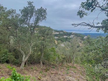 Terreni e lotti in vendita a Serra Brava