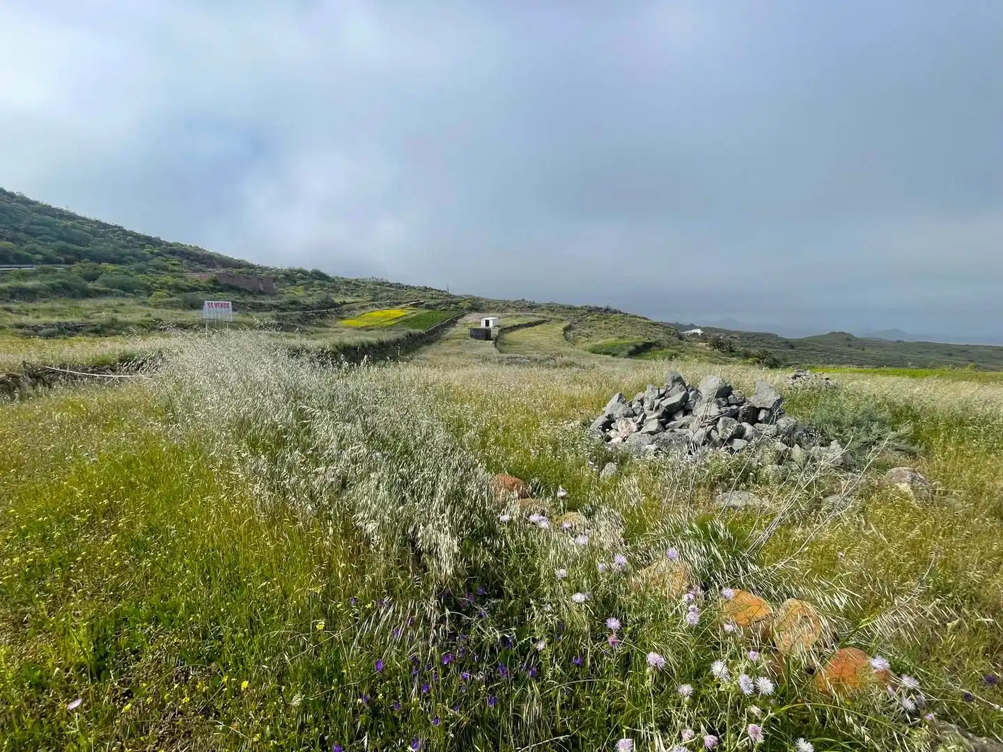 Rural land for sale in LA PASADILLA, imagen 7