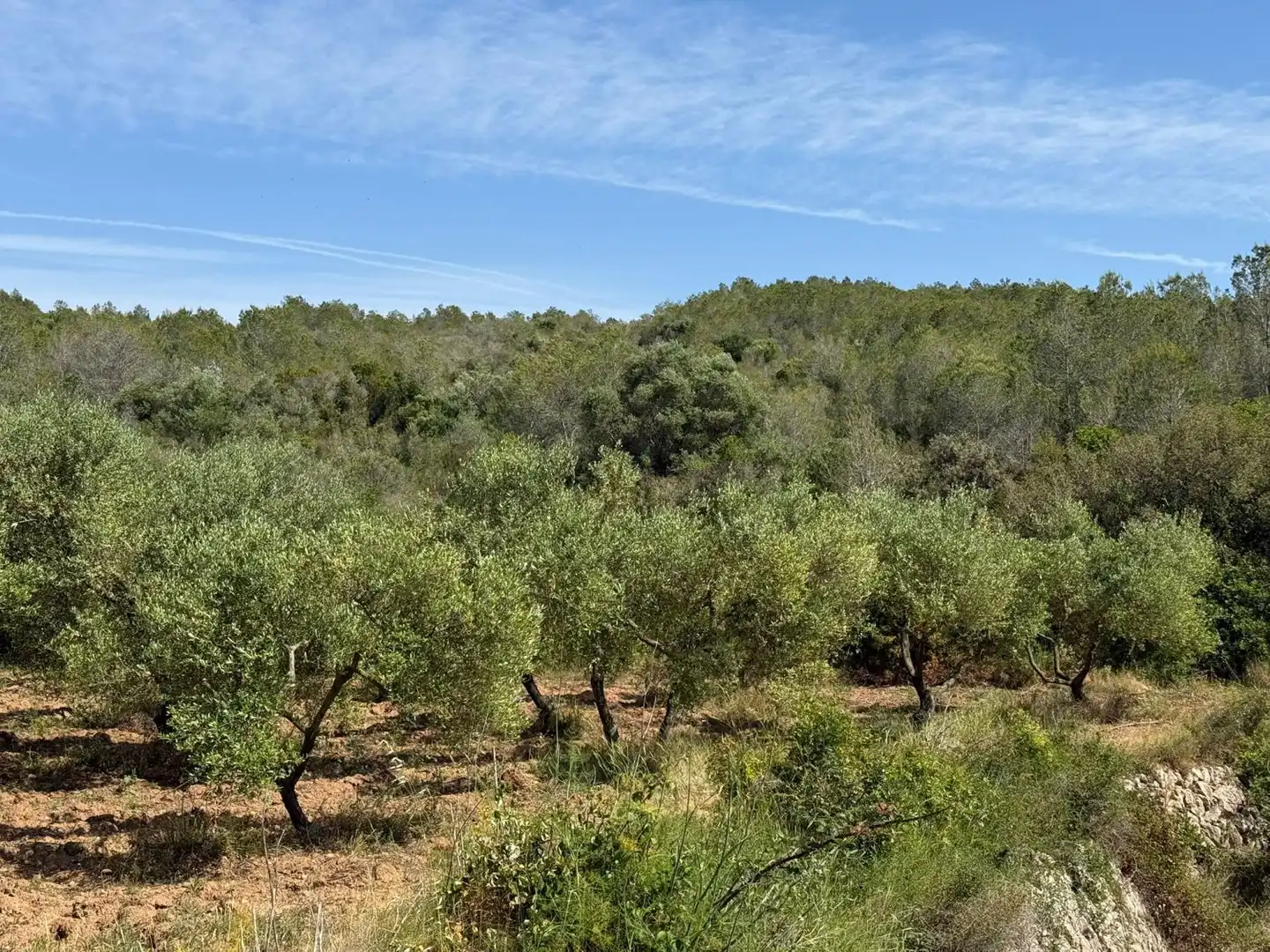 Finca rústica en venda a Vespella de Gaià