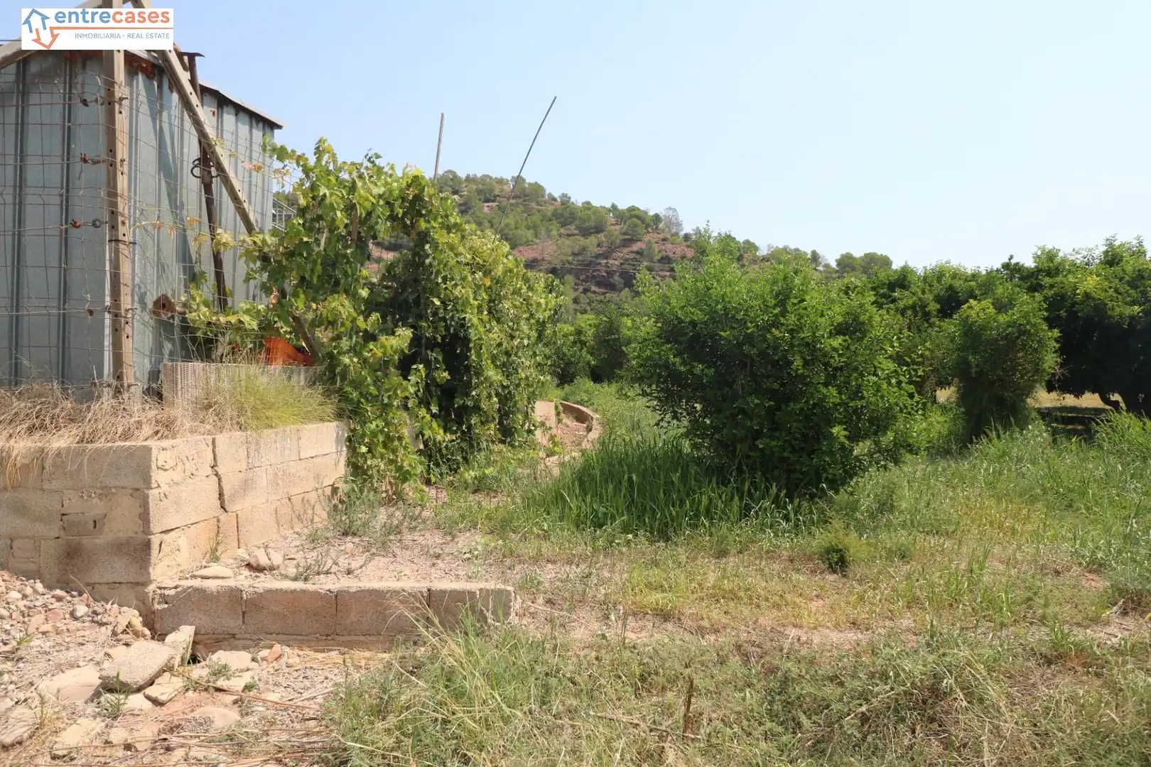 Rural land for sale in Gilet, imagen 11