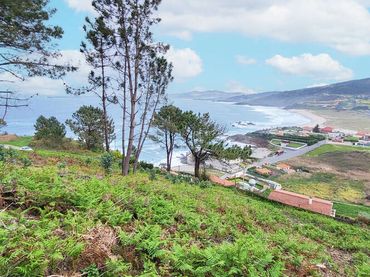 Terreny rústic en venda a Rúa Porto dos Cabalos