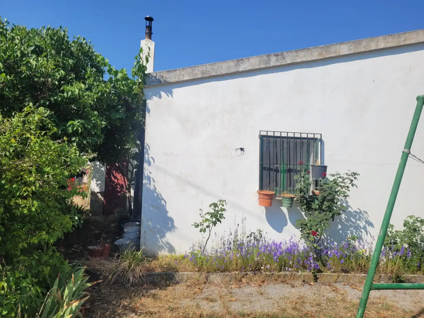Vista exterior de Casa o chalet en venta en Matapozuelos con Calefacción y Jardín privado