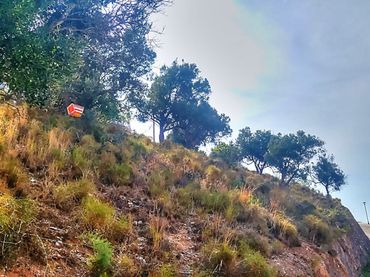 Terreno rustico in vendita a Almayate