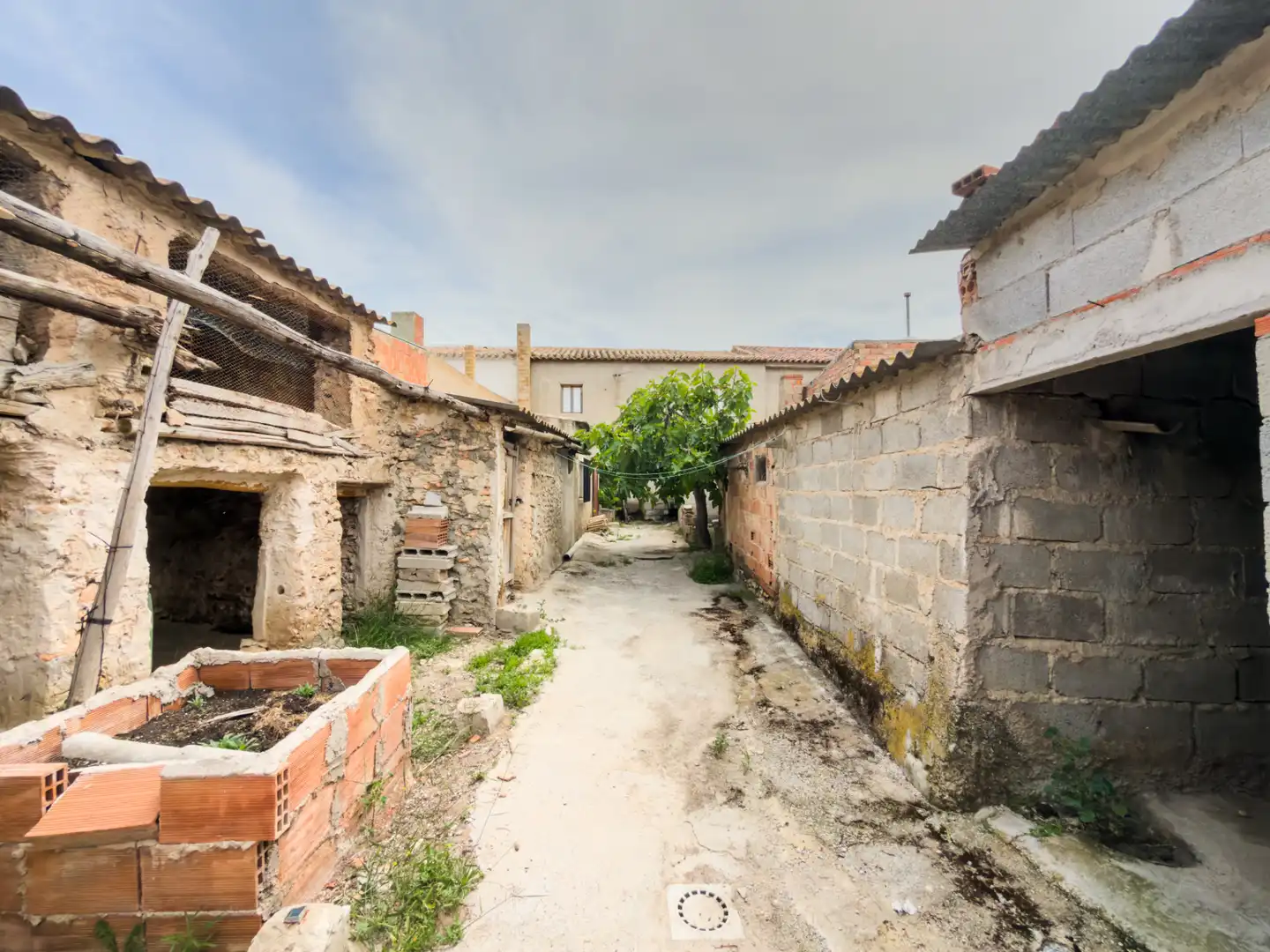 Vista exterior de Casa o xalet en venda en Cortes de Baza amb Jardí privat, Terrassa i Moblat