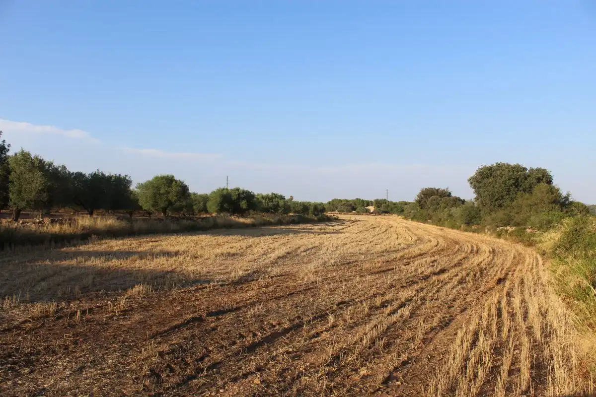 Terreno rústico en venta en Banyeres del Penedès