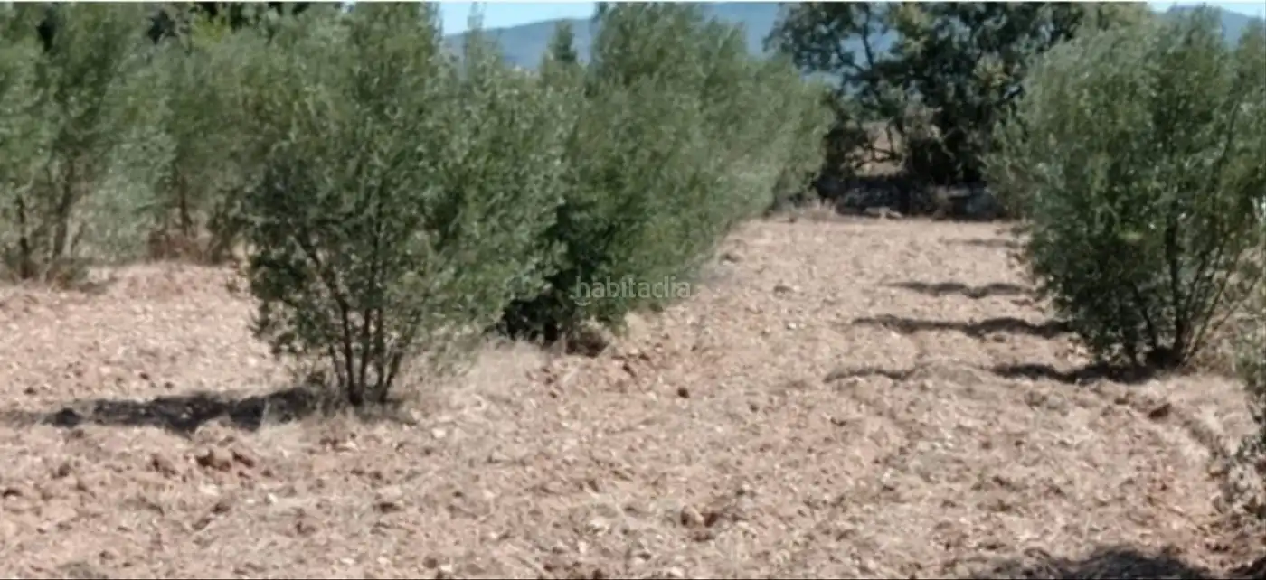 Rural land for sale in Muralla de Sant Antoni 54, imagen 9