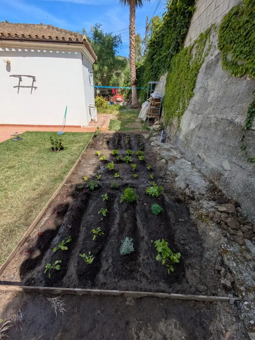 Jardí de Casa o xalet en venda en Algeciras amb Jardí privat