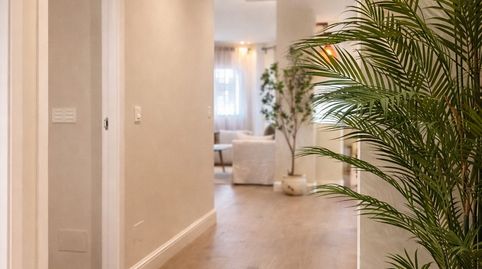 Foto 3 de Planta baja en venta en Puerto de Estepona, Estepona