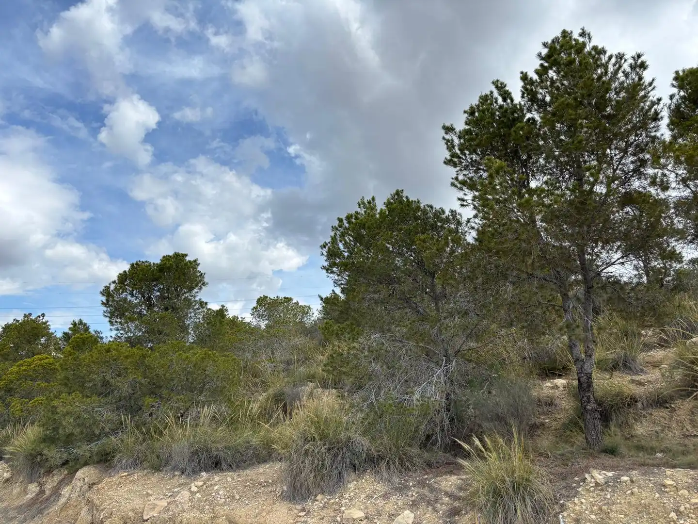 Terreny rústic en venda a Carrer del Calvari, imagen 7