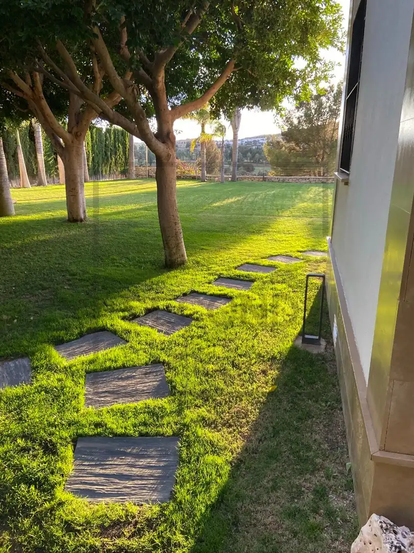 Casa con piscina en venta en Algorfa, imagen 101