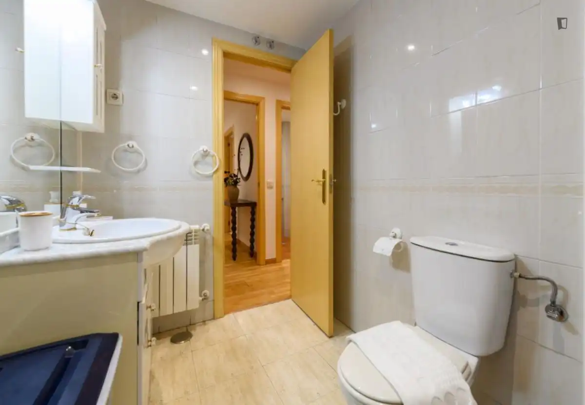 Bany de Apartament de lloguer en Madrid amb Aire condicionat, Calefacció i Moblat