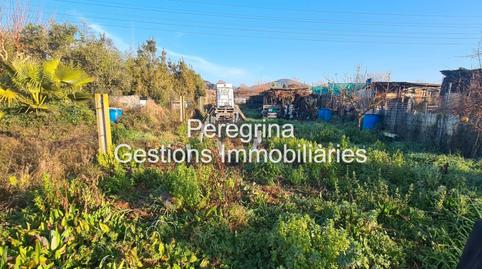 Photo 4 of Land for sale in Mas Florit - Ca la Guidó, Blanes