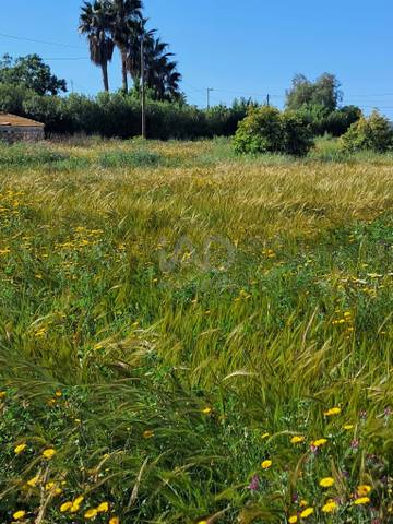 Terreno en Venta en Purias