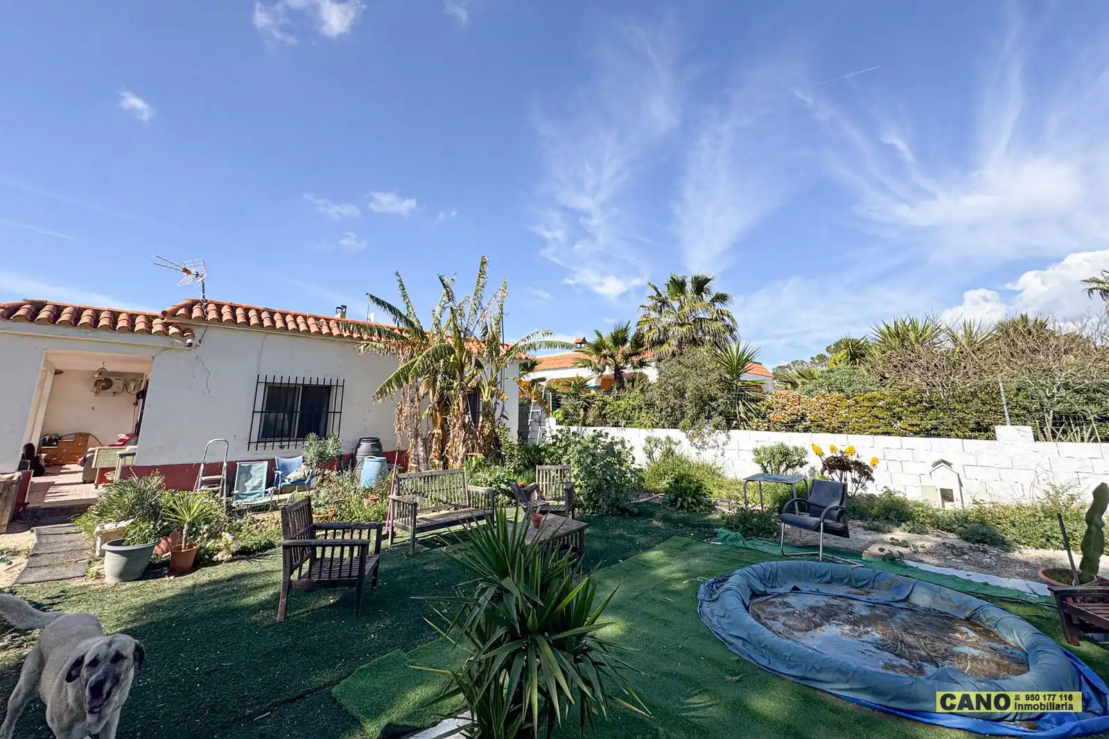 Jardín de Casa o chalet en venta en Níjar con Piscina