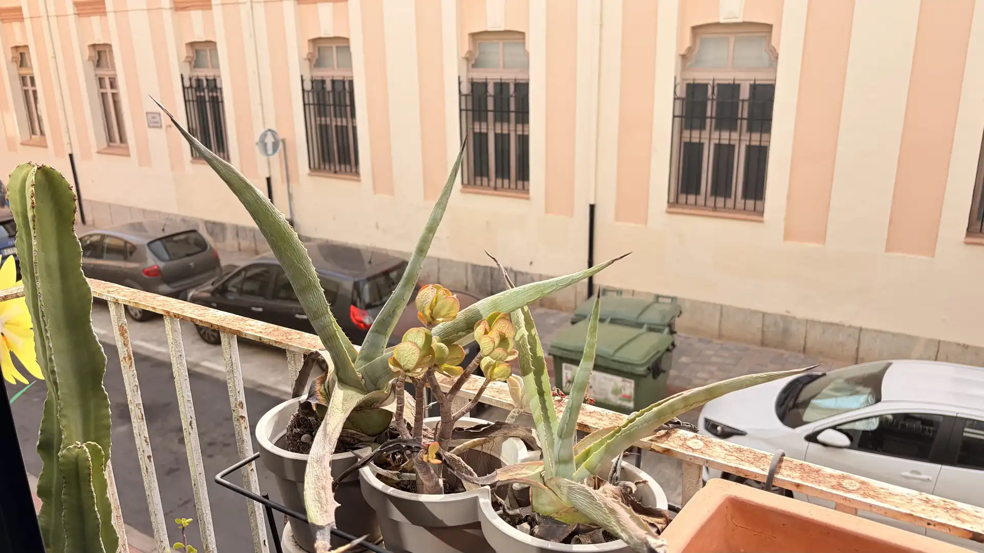 Terrassa de Casa o xalet en venda en Castellón de la Plana / Castelló de la Plana amb Moblat