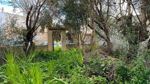 Foto 3 de Residencial en venta en Son Ramonell - Es Figueral, Marratxí