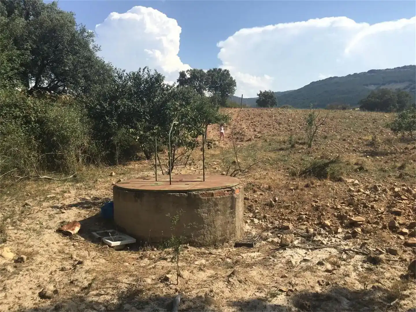 Land for sale in Hontanar