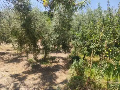 Casa rústica amb jardí en venda a Carretera Narila 1, imagen 18