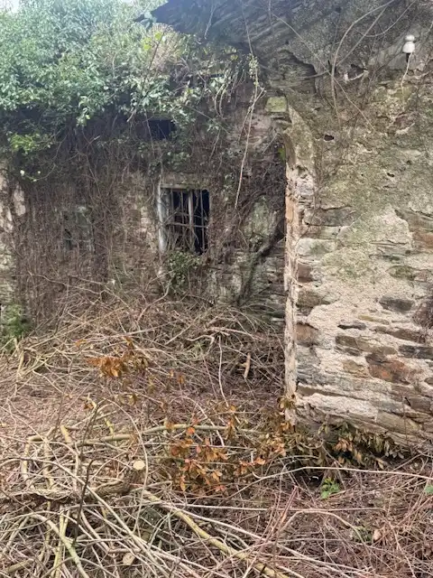 Vista exterior de Finca rústica en venta en Castropol